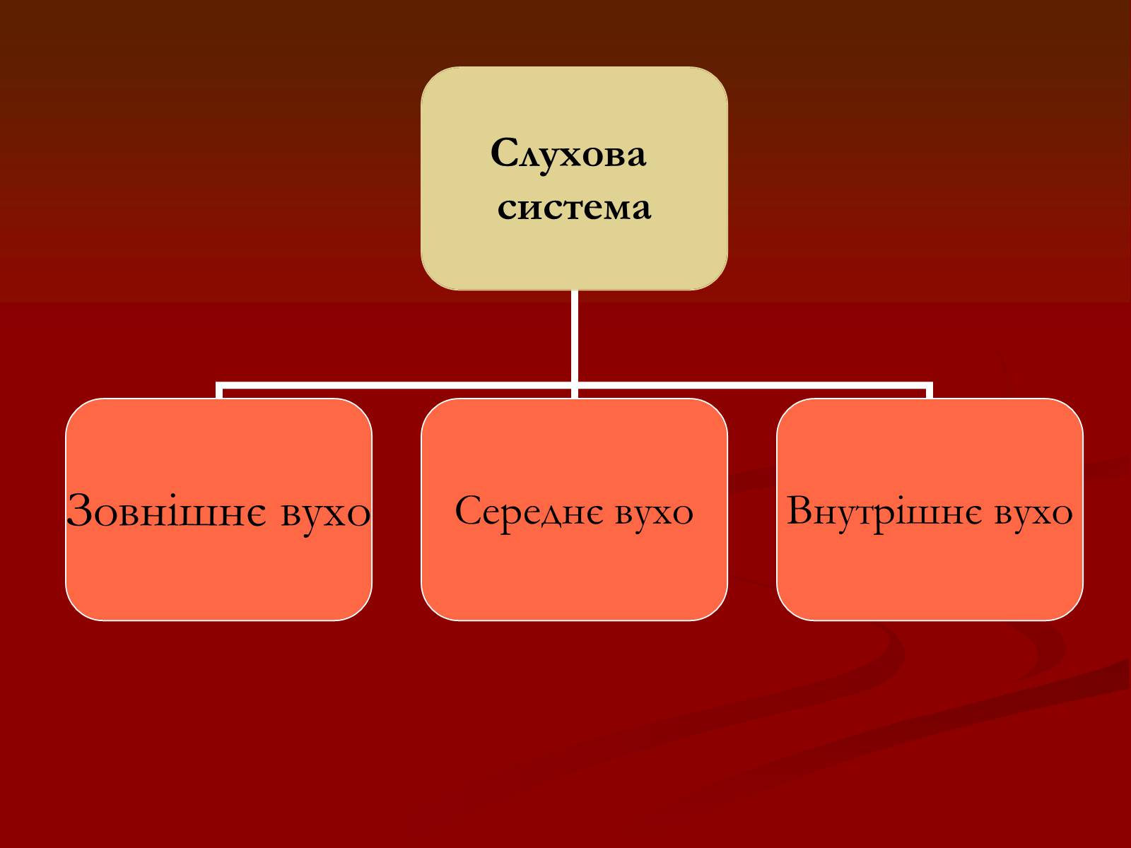 Презентація на тему «Слухова система» (варіант 1) - Слайд #3