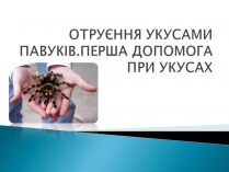 Презентація на тему «Отруєння укусами павуків»