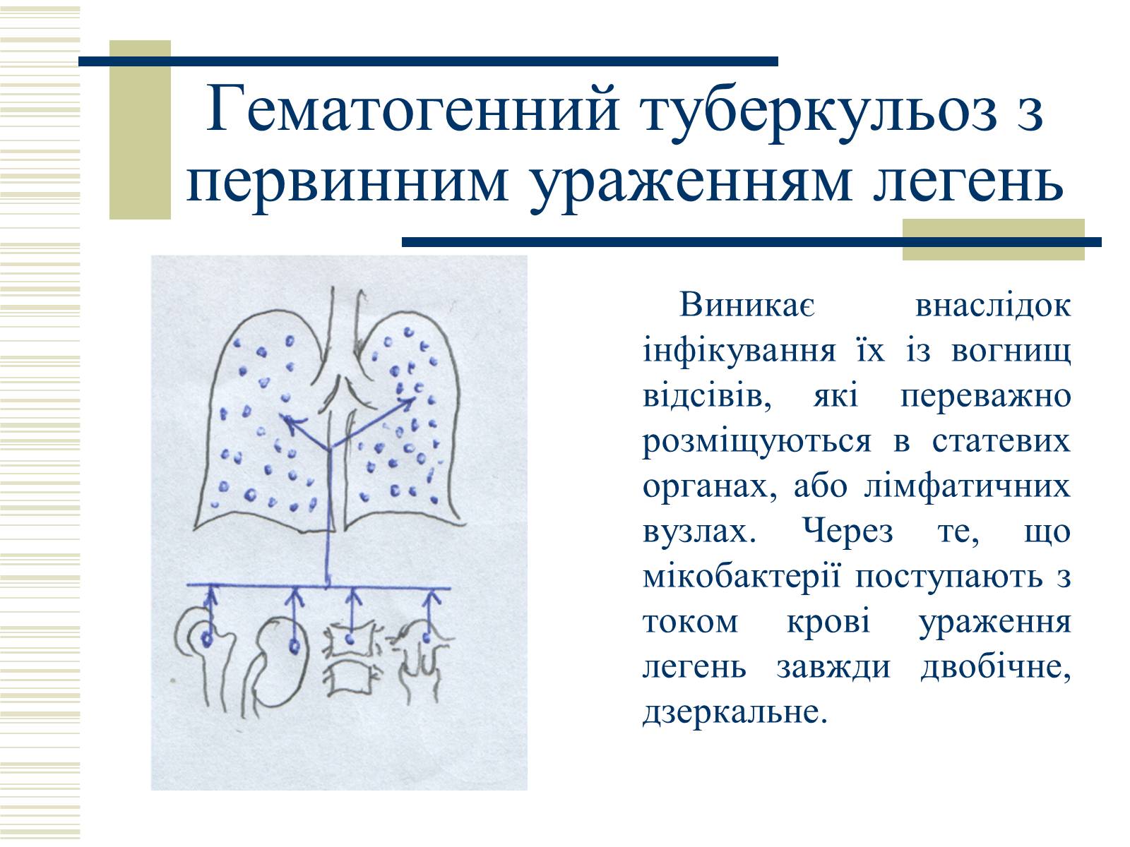 Презентація на тему «Патологічна анатомія туберкульозу» - Слайд #18