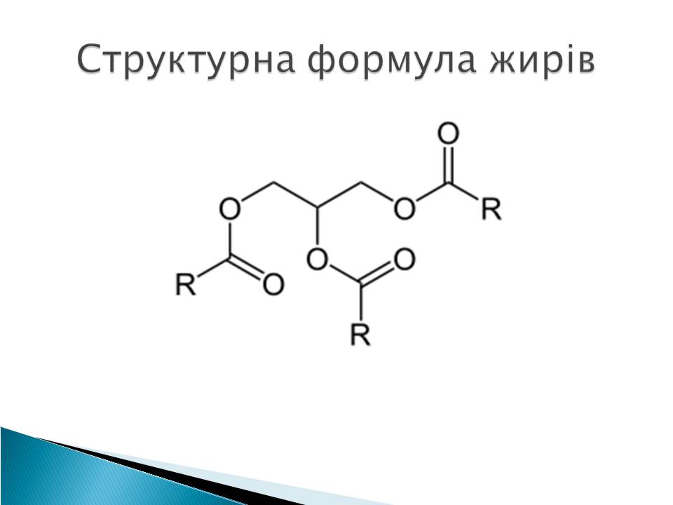 Презентація на тему «Жири» (варіант 25) - Слайд #3