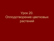 Презентація на тему «Оплодотворение цветковых растений»