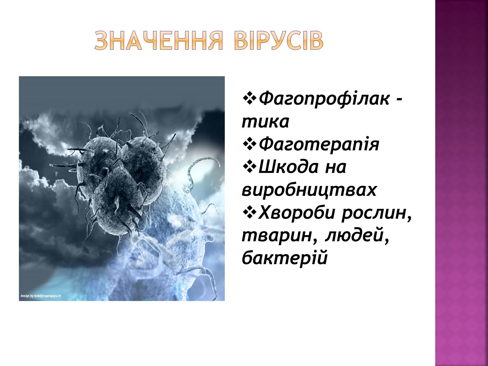 Презентація на тему «Віруси» (варіант 19) - Слайд #12