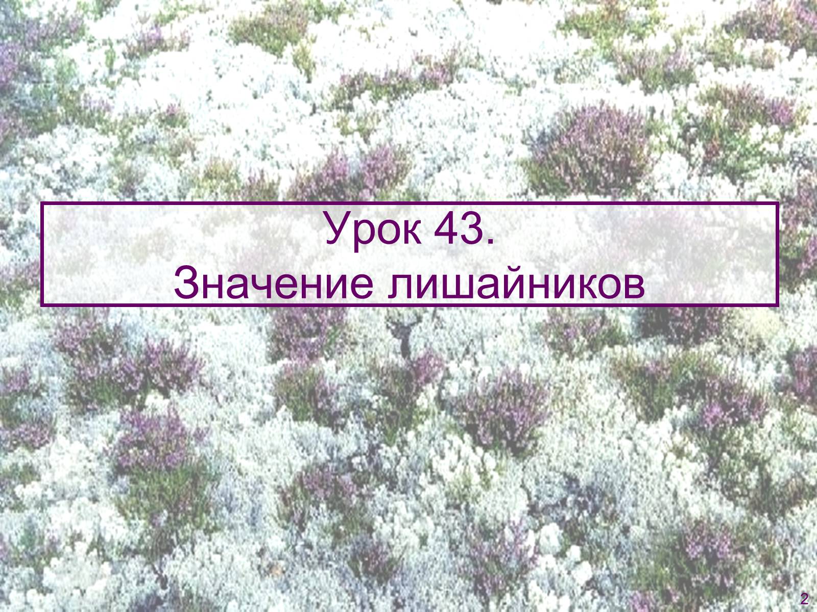 Презентація на тему «Значение лишайников» - Слайд #2