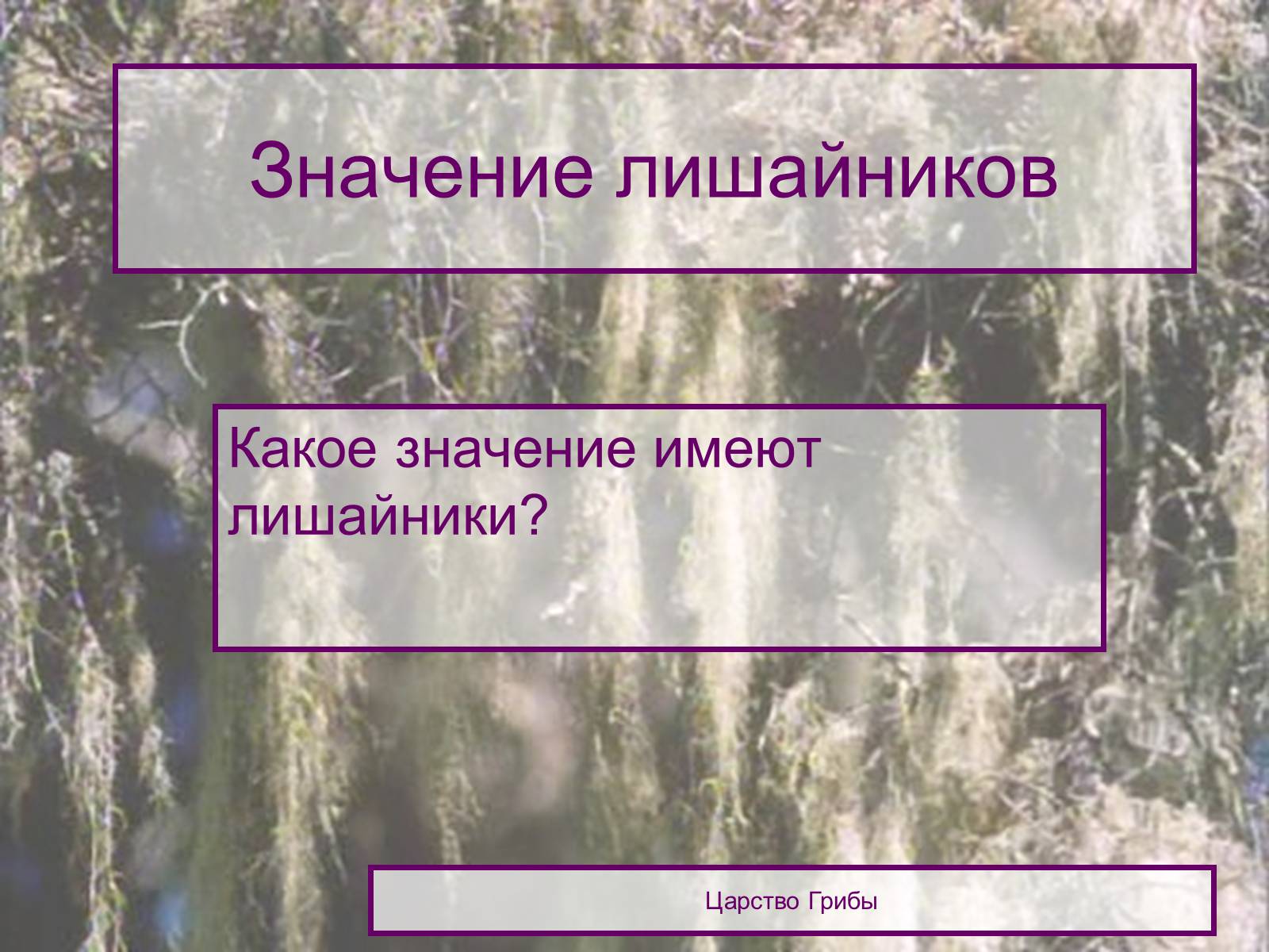 Презентація на тему «Значение лишайников» - Слайд #3