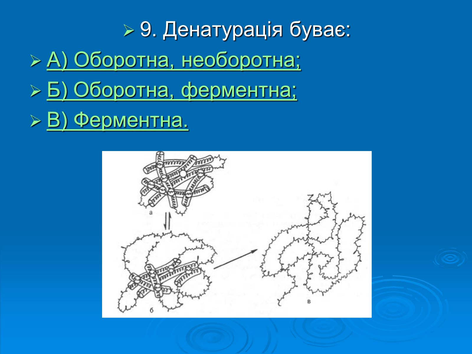 Презентація на тему «Біологія» (варіант 3) - Слайд #10