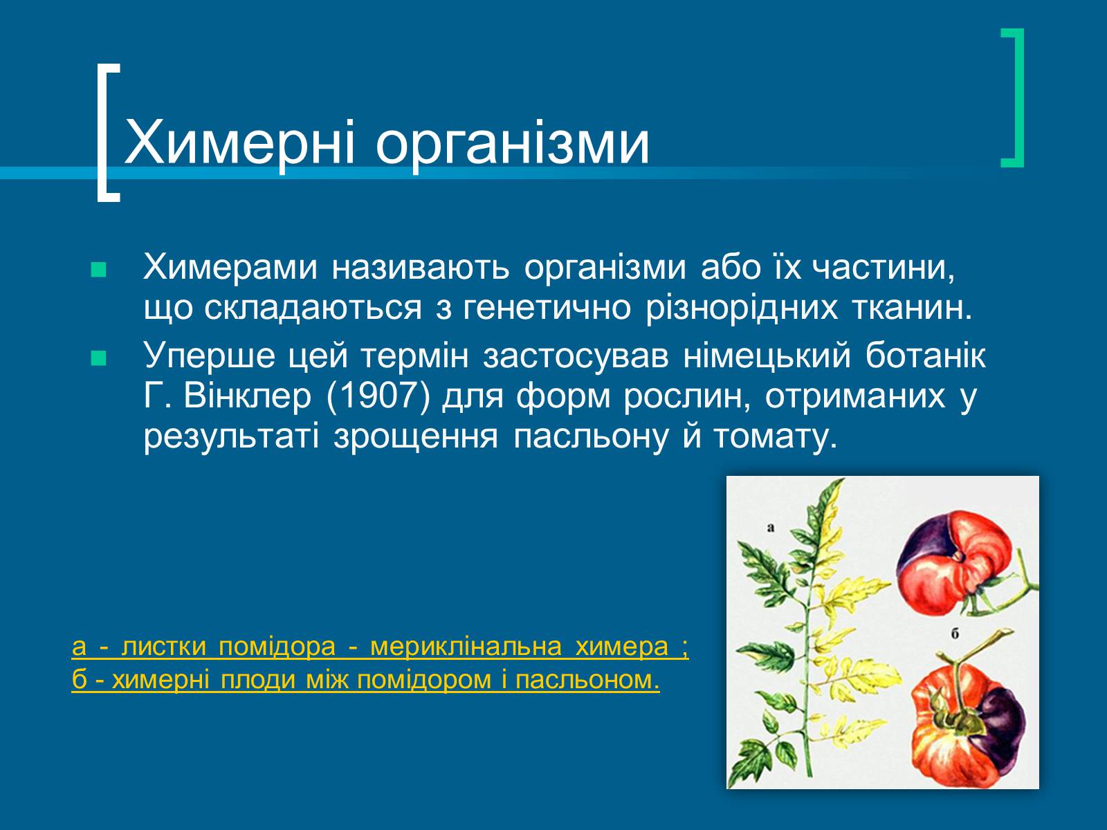 Презентація на тему «Трансгенні організми» (варіант 3) - Слайд #15