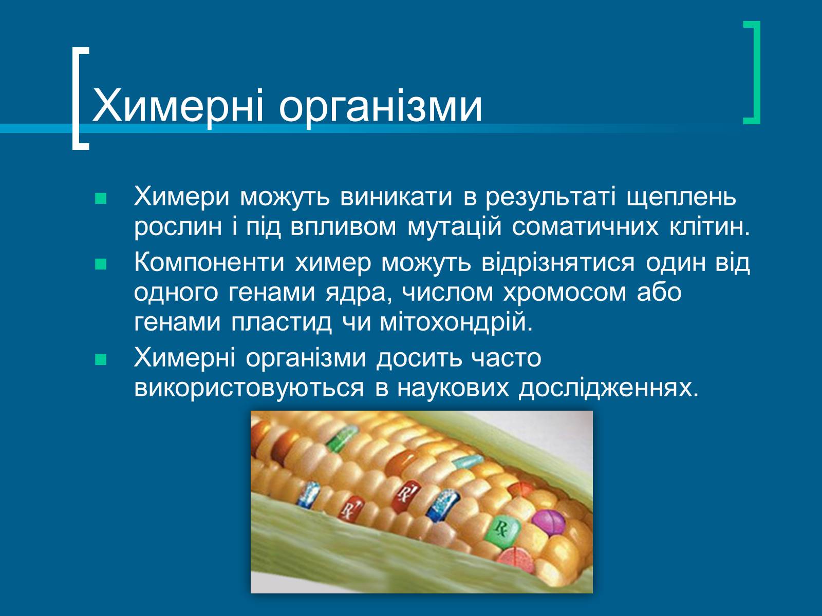 Презентація на тему «Трансгенні організми» (варіант 3) - Слайд #17