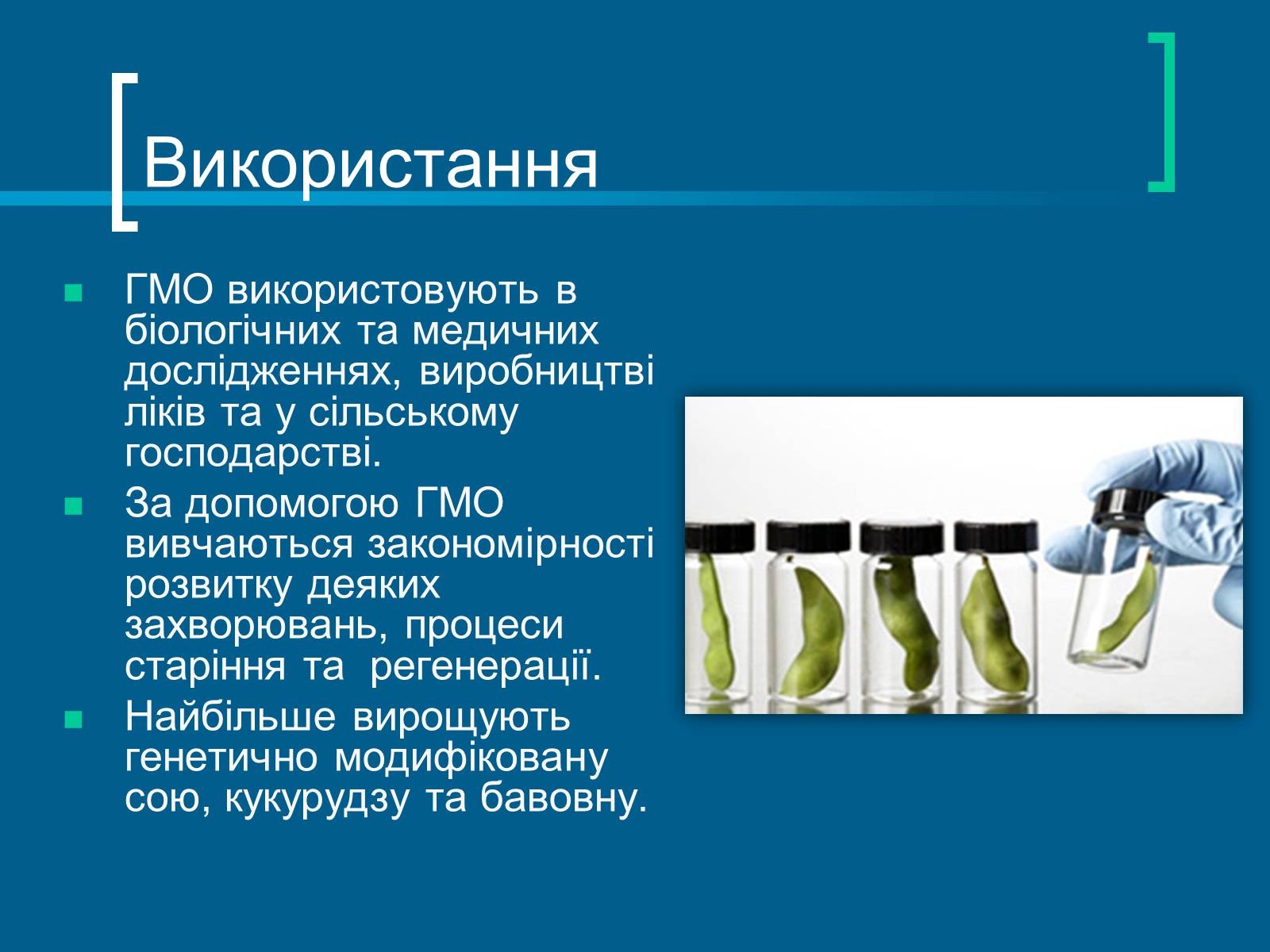 Презентація на тему «Трансгенні організми» (варіант 3) - Слайд #4