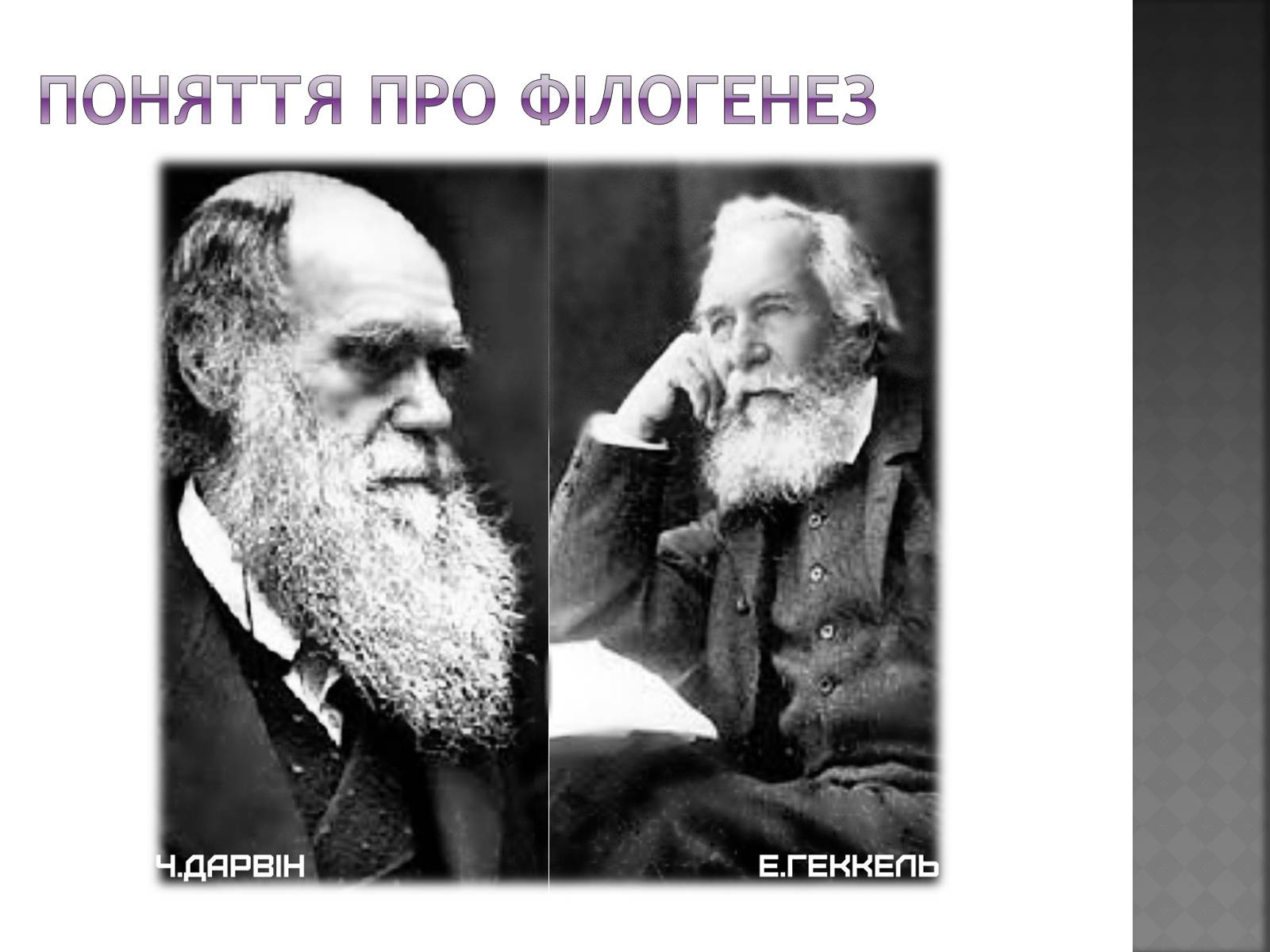 Презентація на тему «Еколого-Валеологічний проект» - Слайд #9