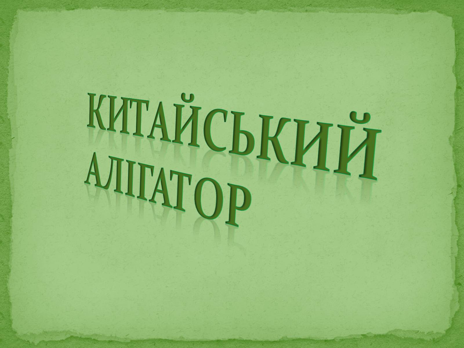 Презентація на тему «Китайський алігатор» - Слайд #1