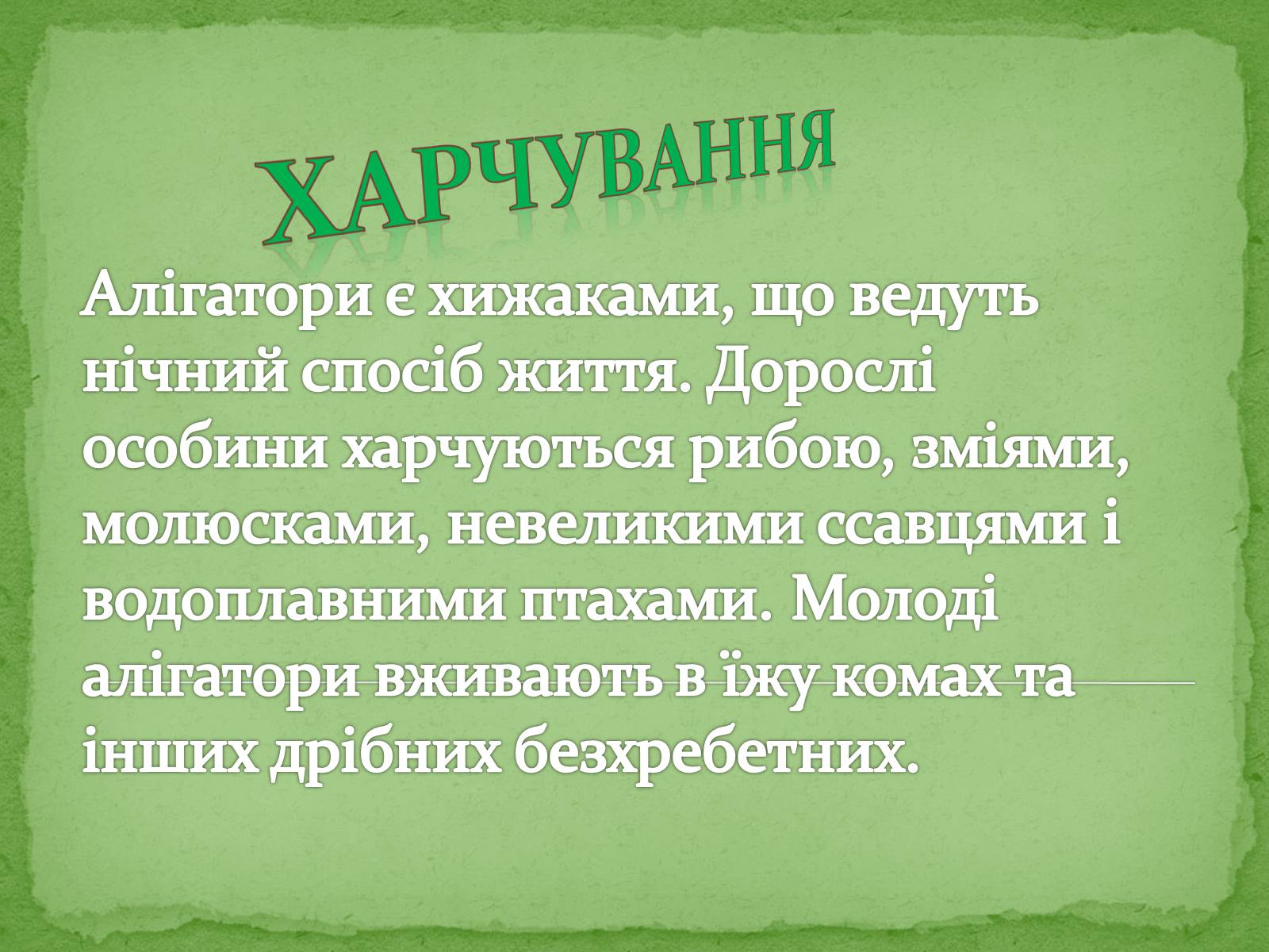 Презентація на тему «Китайський алігатор» - Слайд #12