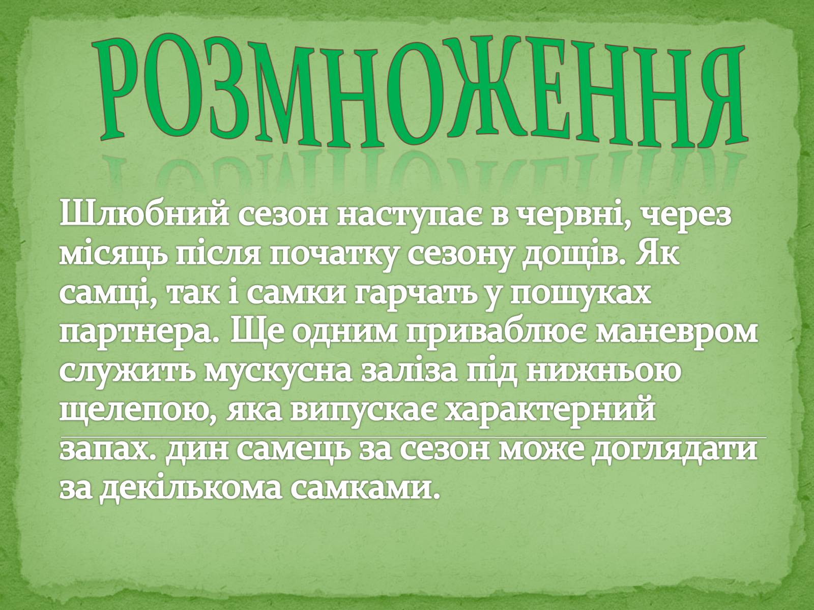 Презентація на тему «Китайський алігатор» - Слайд #14