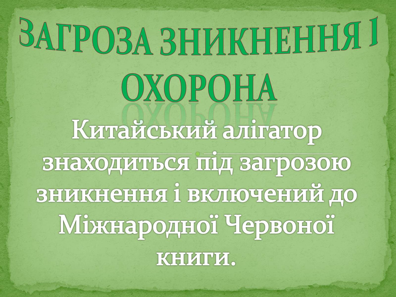 Презентація на тему «Китайський алігатор» - Слайд #17