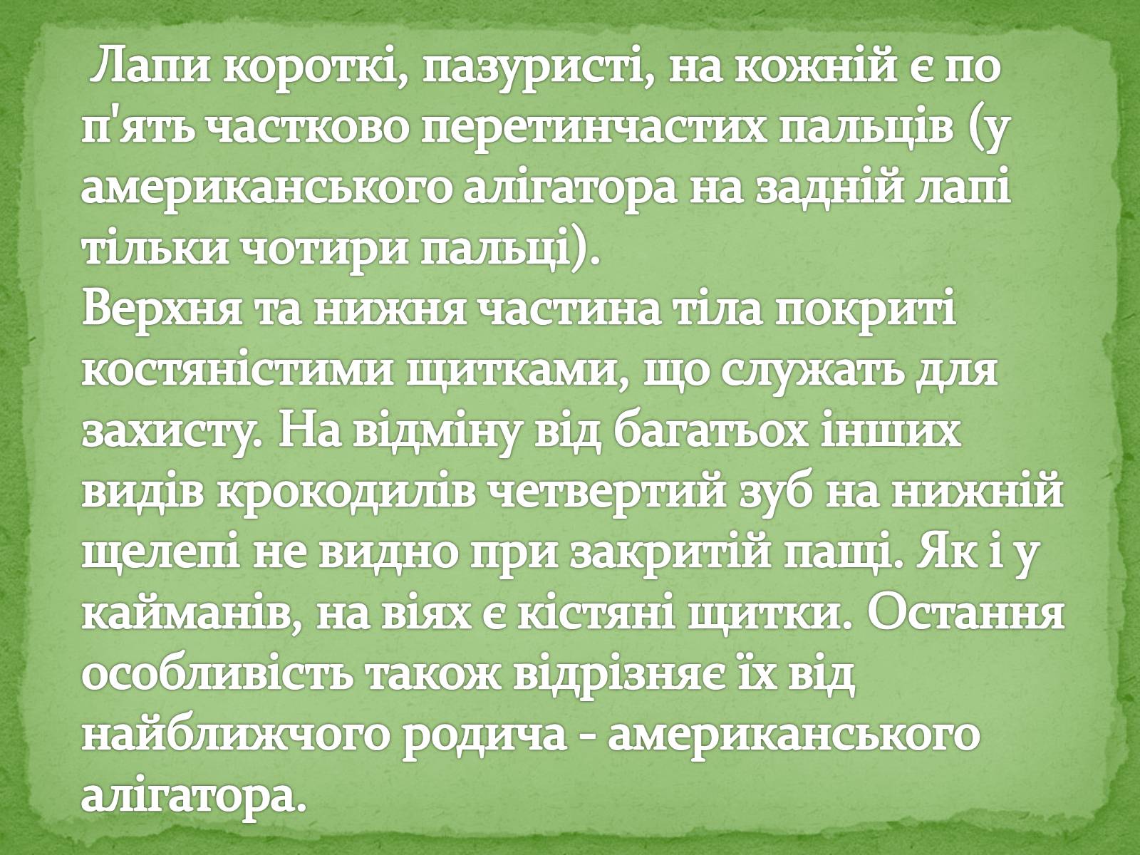 Презентація на тему «Китайський алігатор» - Слайд #5