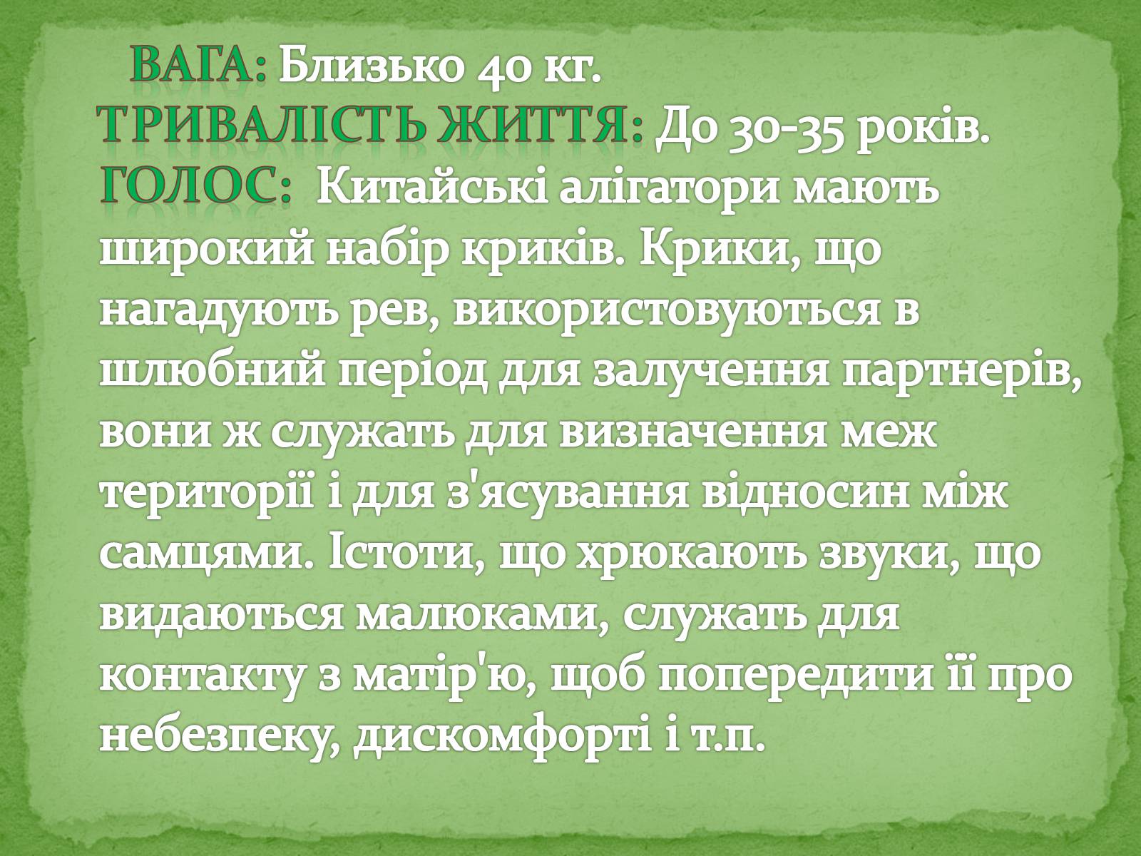 Презентація на тему «Китайський алігатор» - Слайд #8