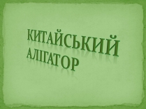 Презентація на тему «Китайський алігатор»