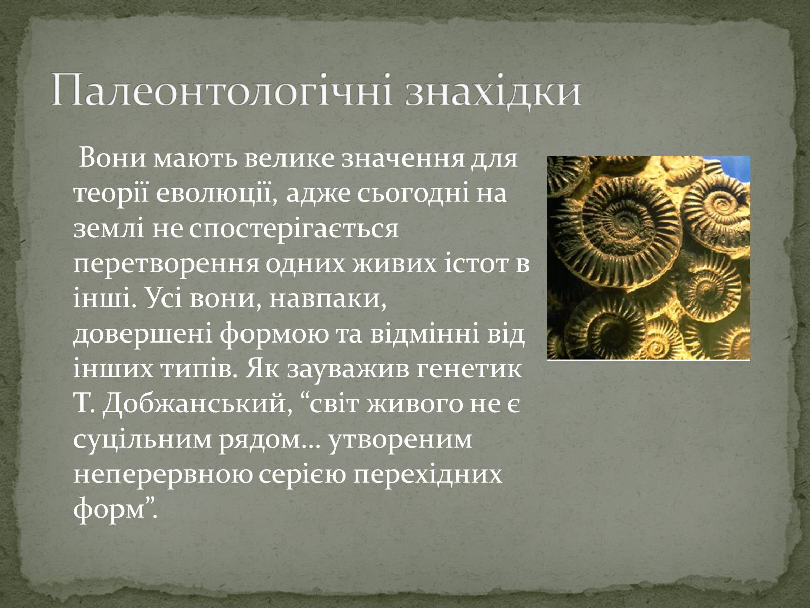 Презентація на тему «Еволюція життя. Науковий факт чи наукова фантастика?» (варіант 2) - Слайд #8