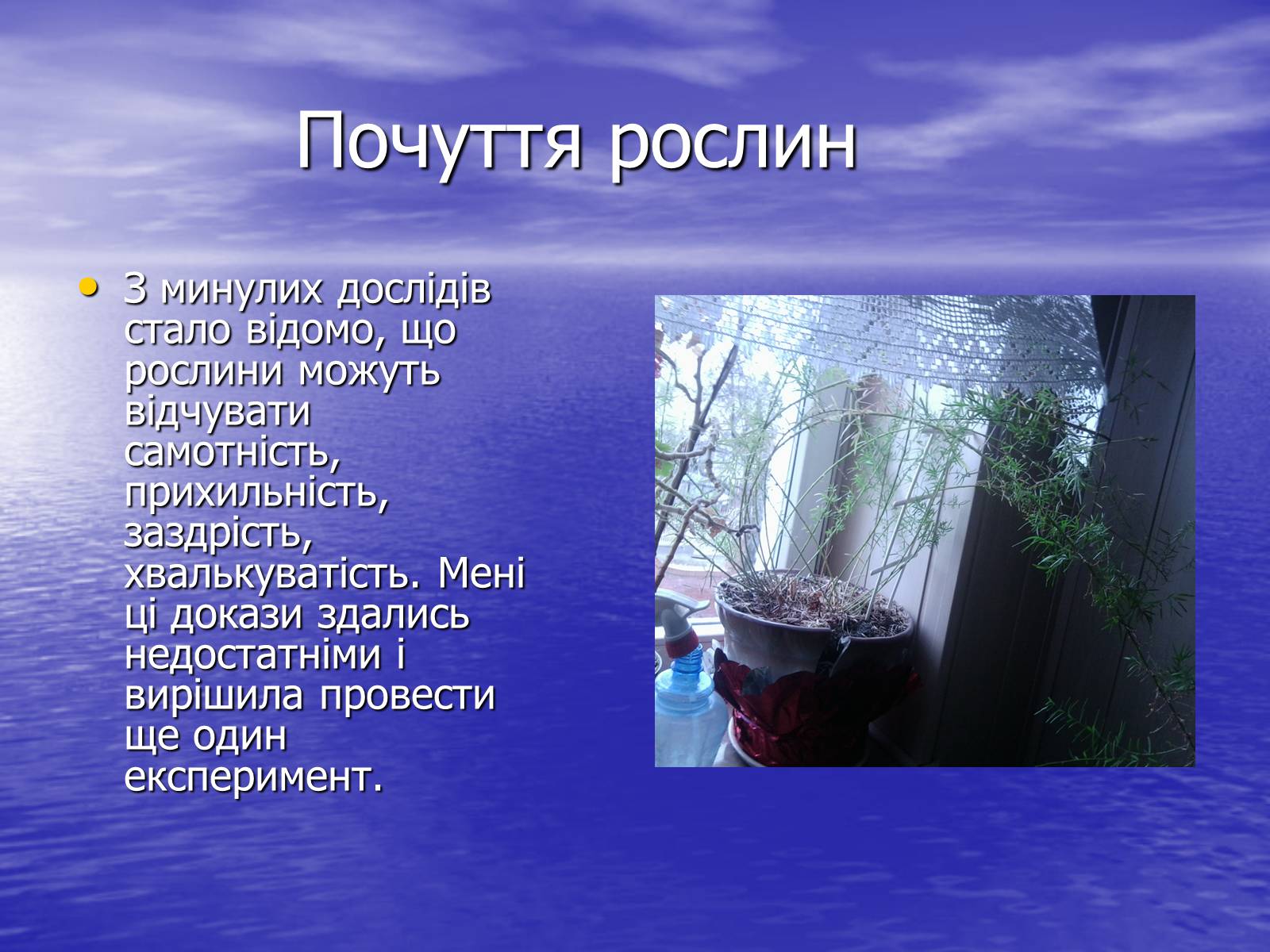 Презентація на тему «Чи розуміють нас рослини?» - Слайд #19