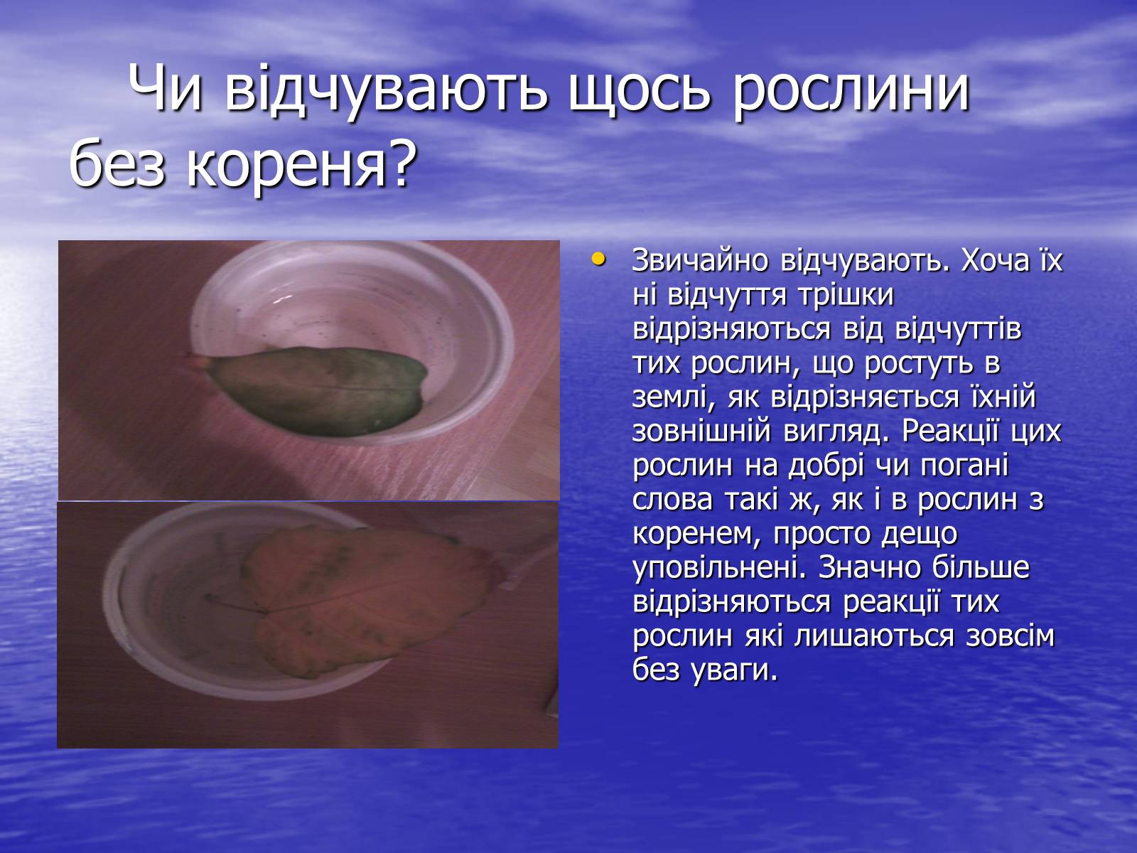 Презентація на тему «Чи розуміють нас рослини?» - Слайд #9