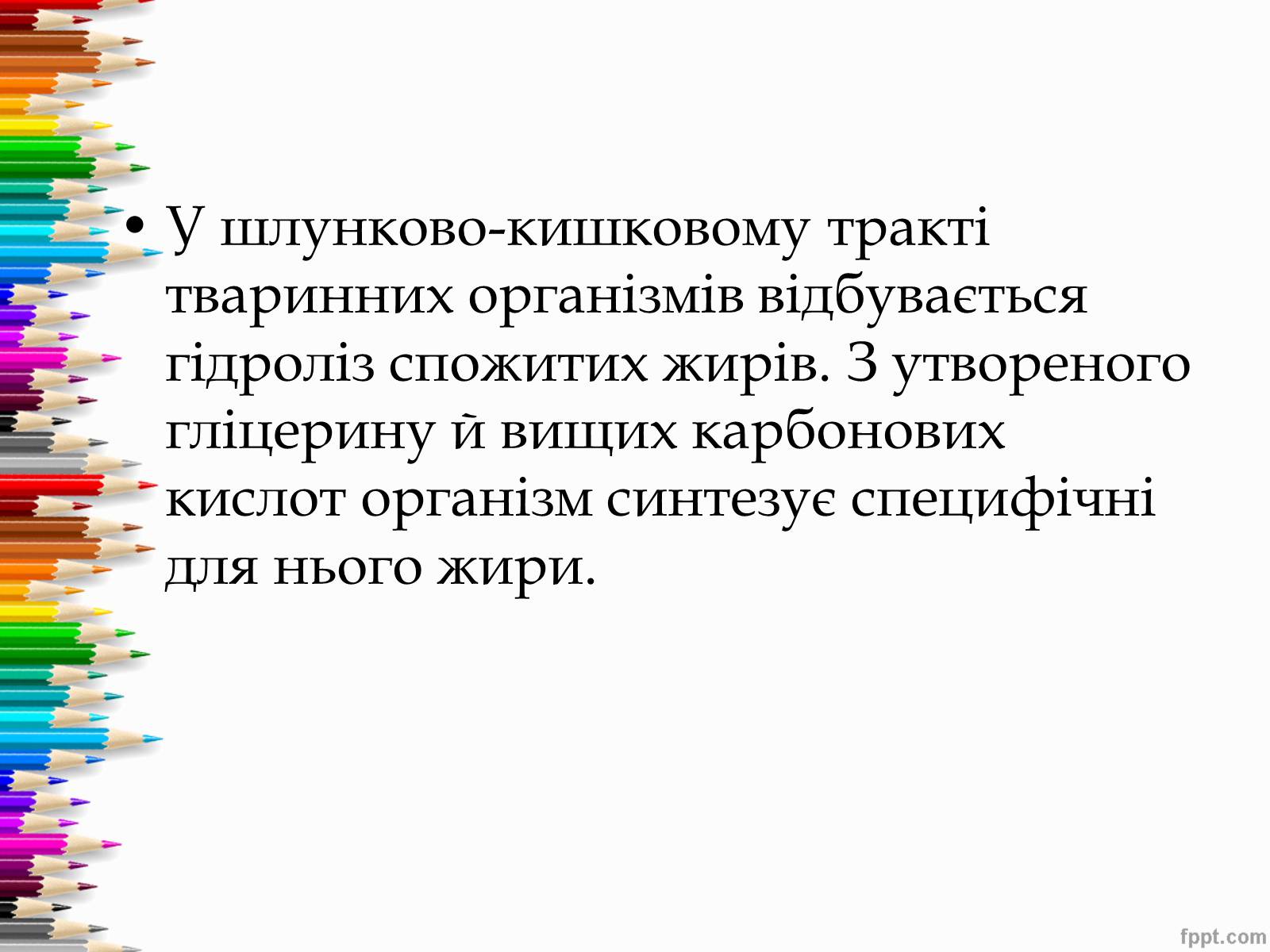 Презентація на тему «Перетворення в організмі жирів» - Слайд #8