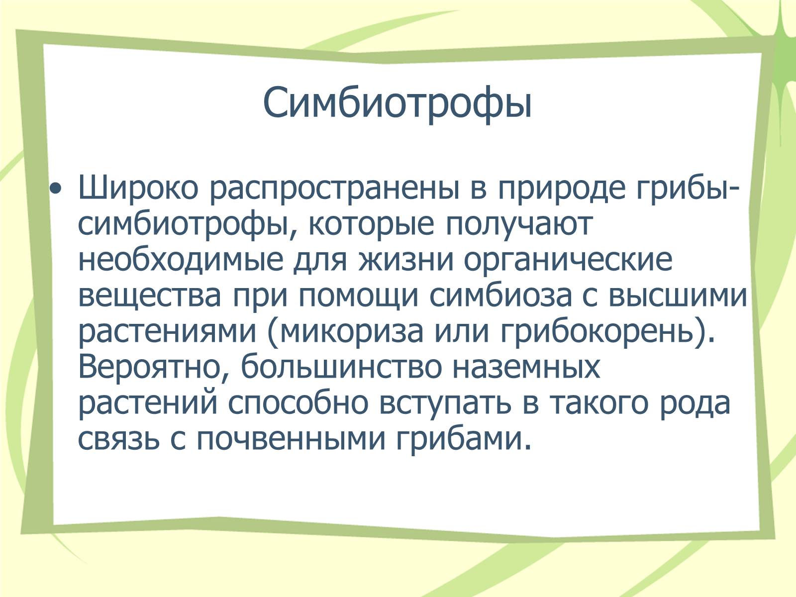 Презентація на тему «Грибы» - Слайд #9