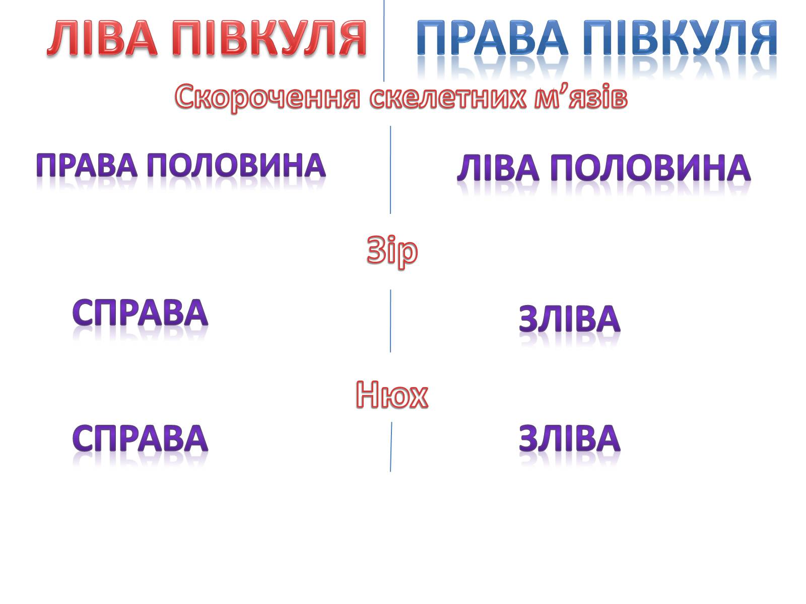 Презентація на тему «Функціональна Спеціалізація мозку» - Слайд #3