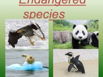 Презентація на тему «Endangered species»