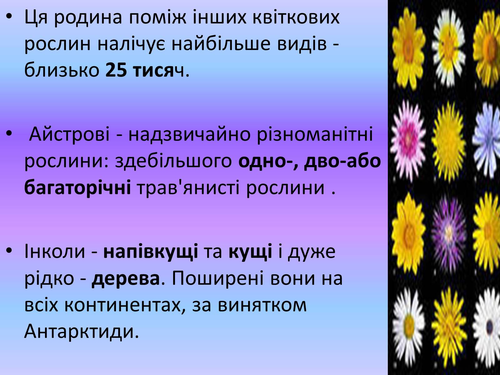 Презентація на тему «Айстрові або Складноцвіті» - Слайд #3