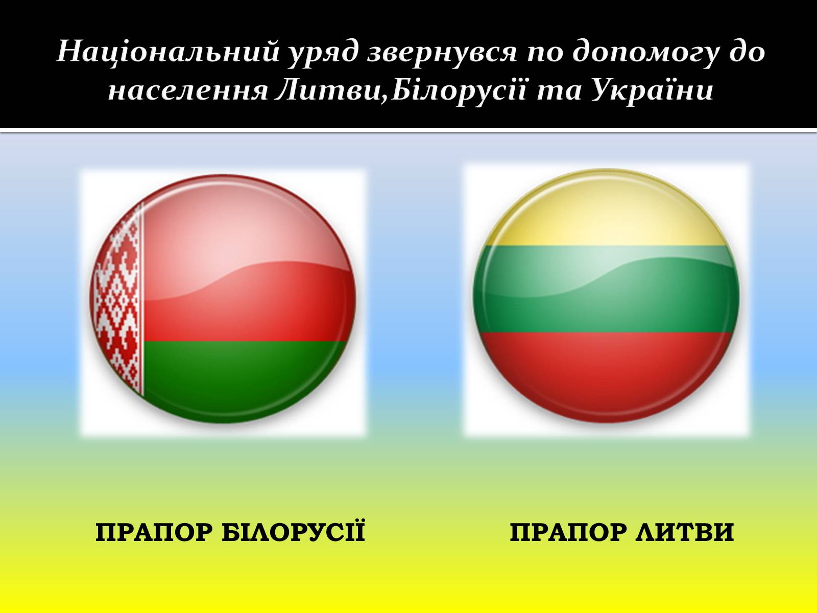 Презентація на тему «Польське повстання» - Слайд #8