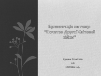 Презентація на тему «Початок Другої Світової війни» (варіант 1)