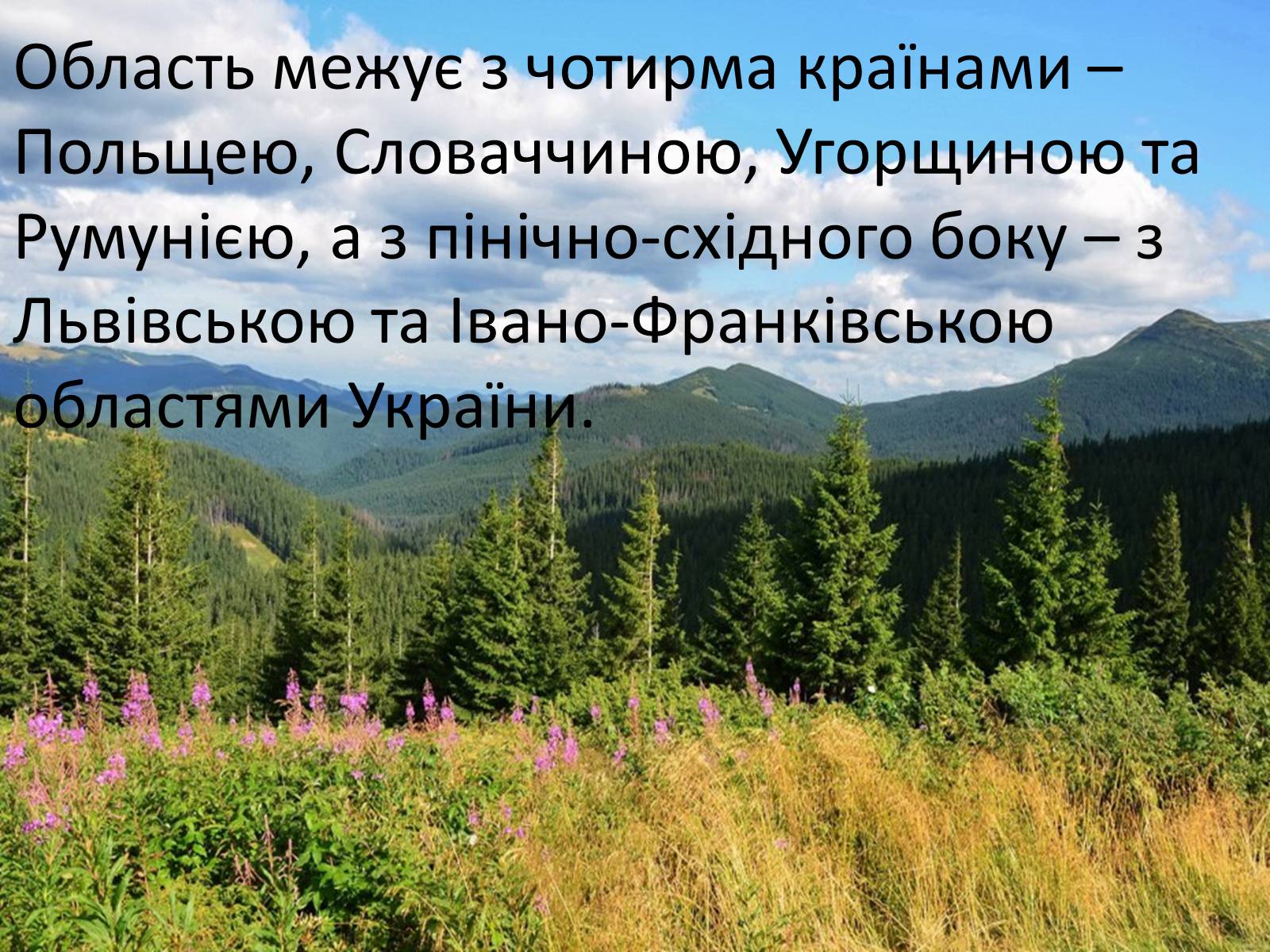 Презентація на тему «Закарпаття» - Слайд #9