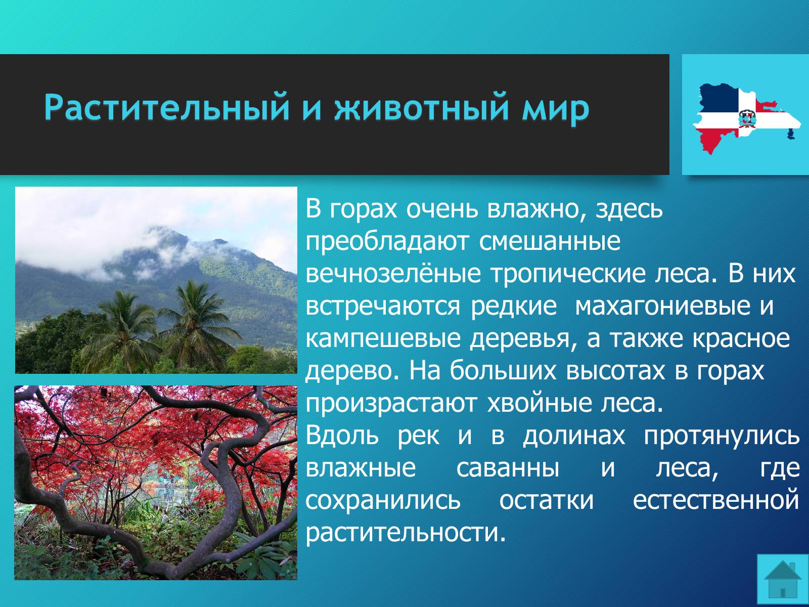 Презентація на тему «Доминиканская Республика» - Слайд #16