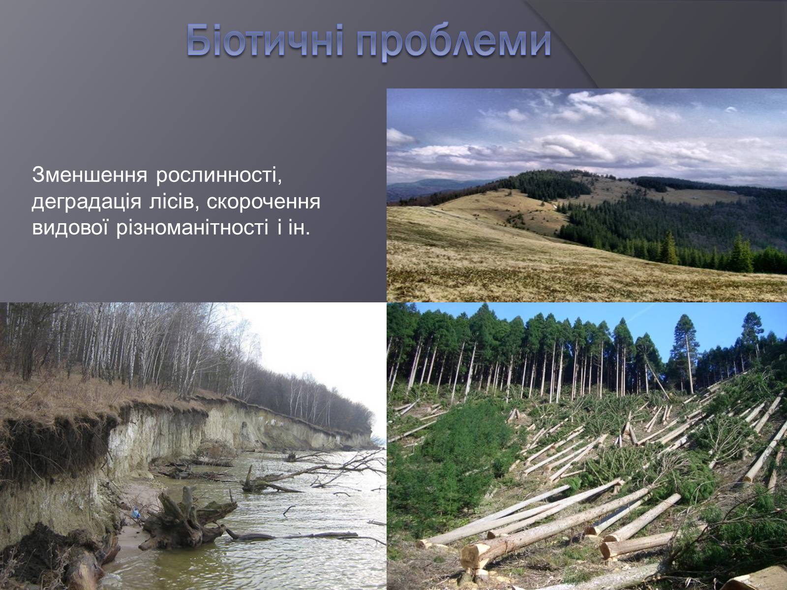 Презентація на тему «Екологічні проблеми людства» (варіант 3) - Слайд #10