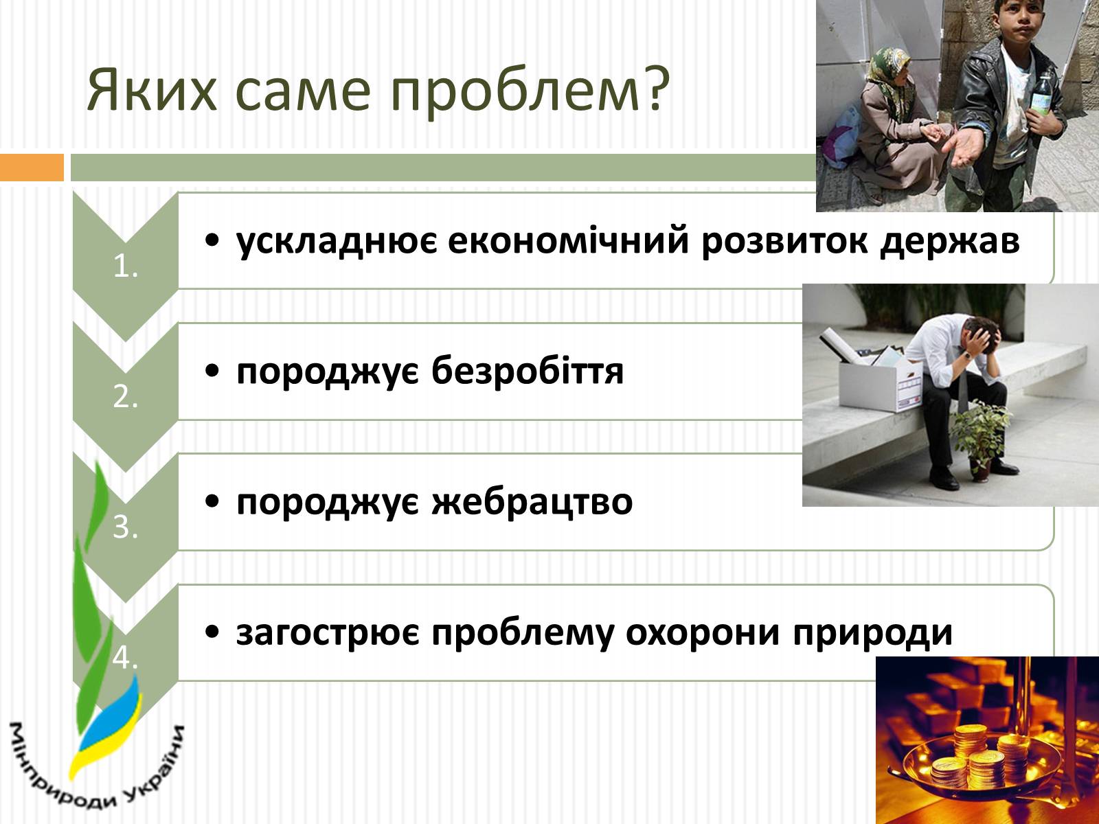 Презентація на тему «Демографічна проблема людства» (варіант 3) - Слайд #13