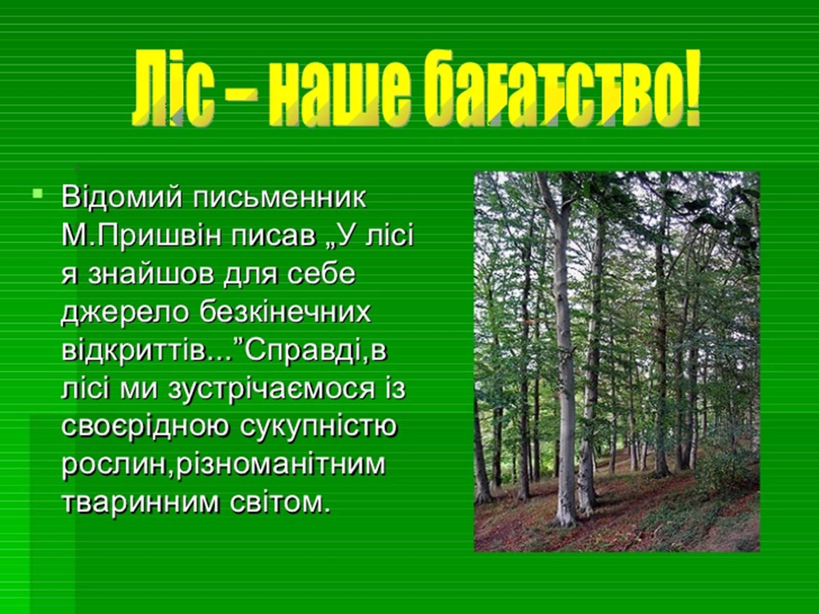 Презентація на тему «Забруднення навколишнього середовища.Види забруднень» - Слайд #15