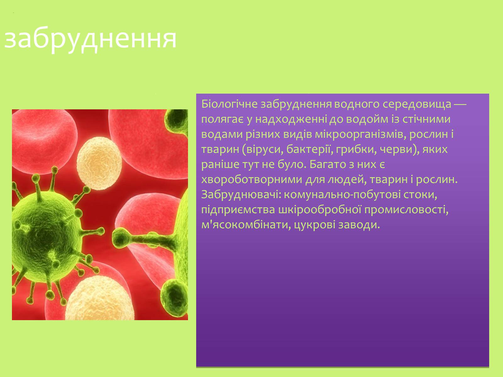 Презентація на тему «Забруднення навколишнього середовища.Види забруднень» - Слайд #21