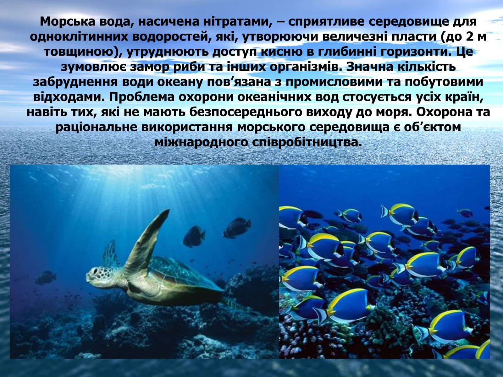 Презентація на тему «Ресурси Світового океану» (варіант 2) - Слайд #15