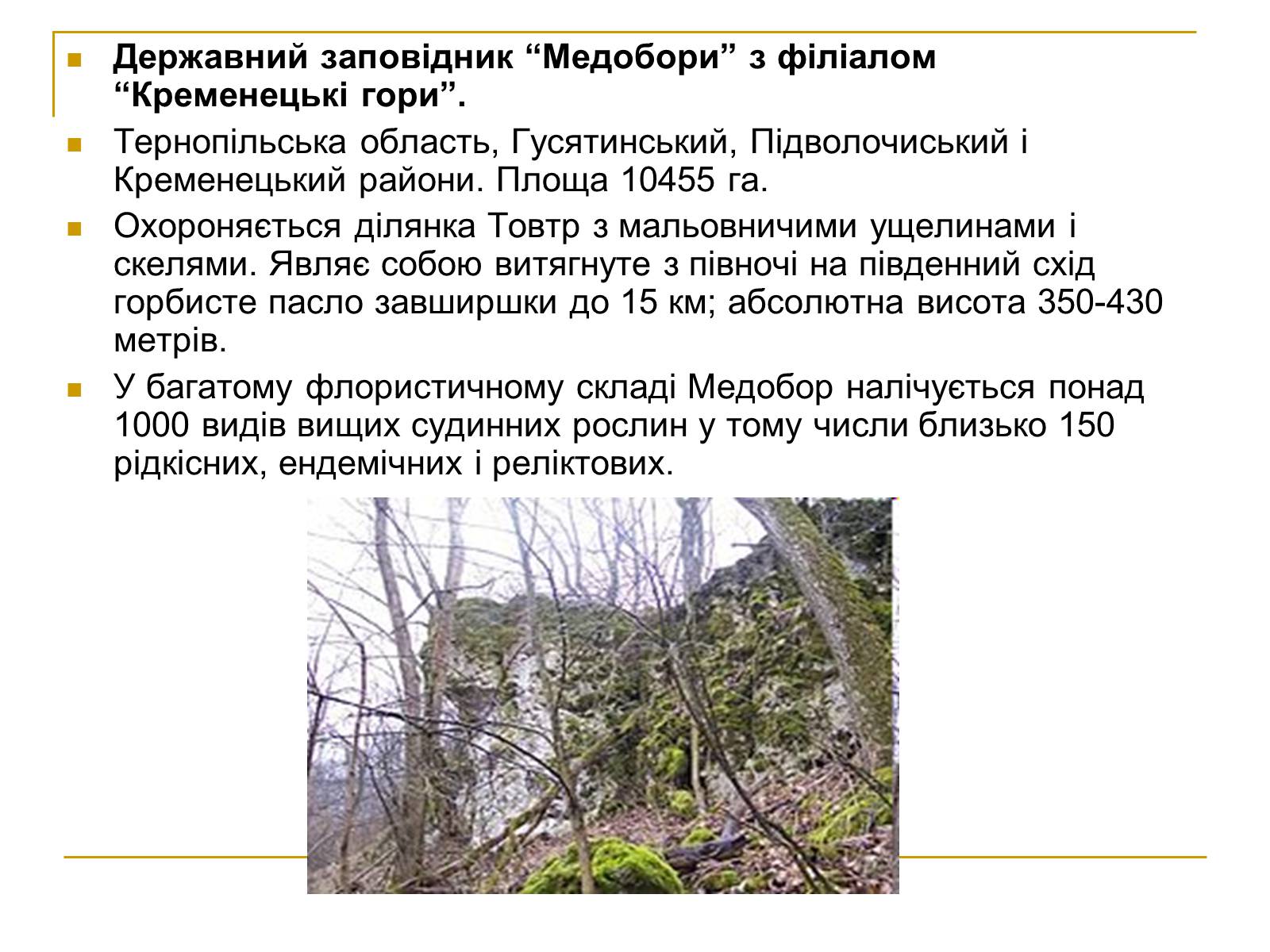 Презентація на тему «Природно-заповідний фонд України» (варіант 2) - Слайд #14