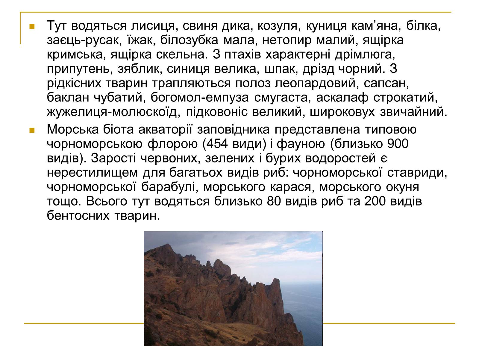 Презентація на тему «Природно-заповідний фонд України» (варіант 2) - Слайд #24