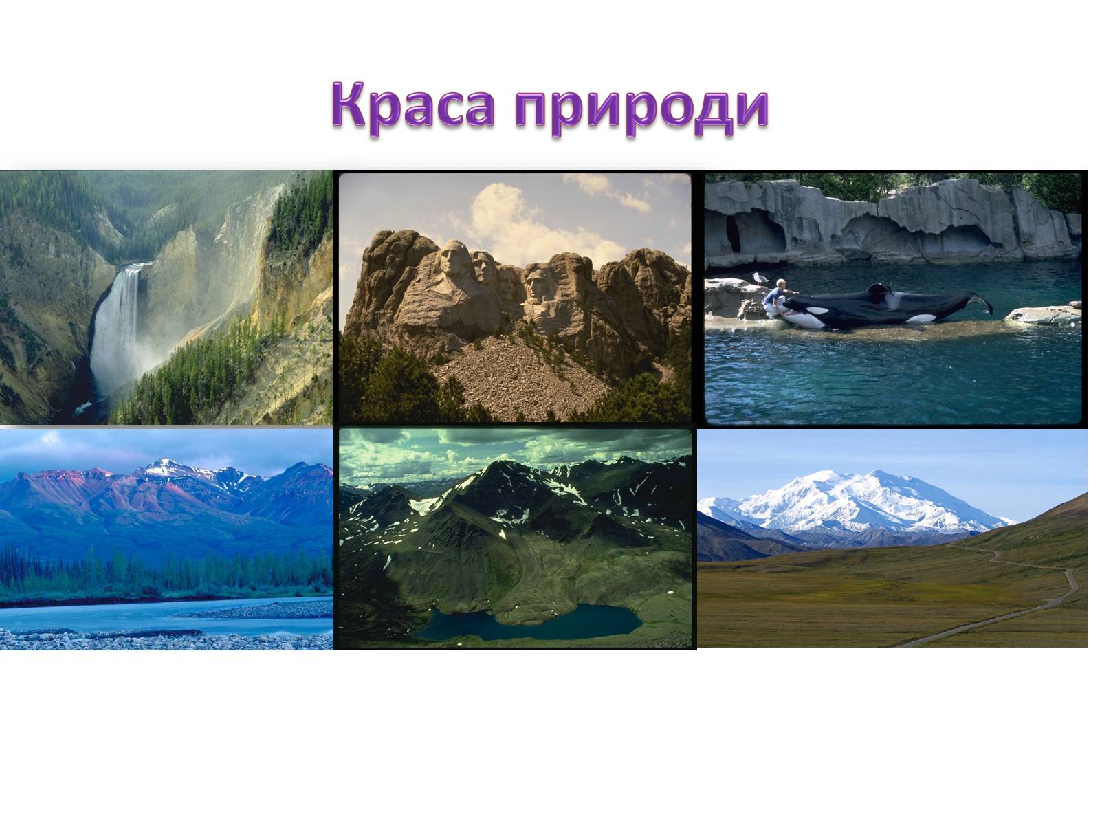 Презентація на тему «Північна Америка» (варіант 8) - Слайд #7