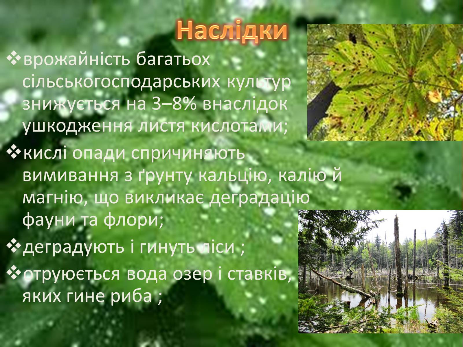 Презентація на тему «Кислотні дощі» (варіант 3) - Слайд #5