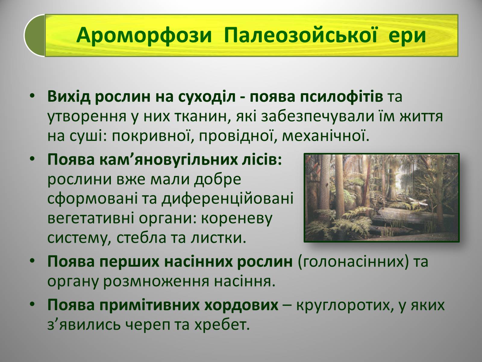 Презентація на тему «Палеозойська Ера» (варіант 2) - Слайд #6