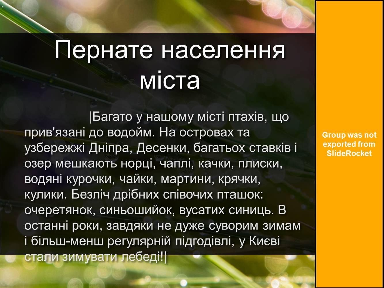 Презентація на тему «Рослинний та тваринний світ Київської області» - Слайд #8