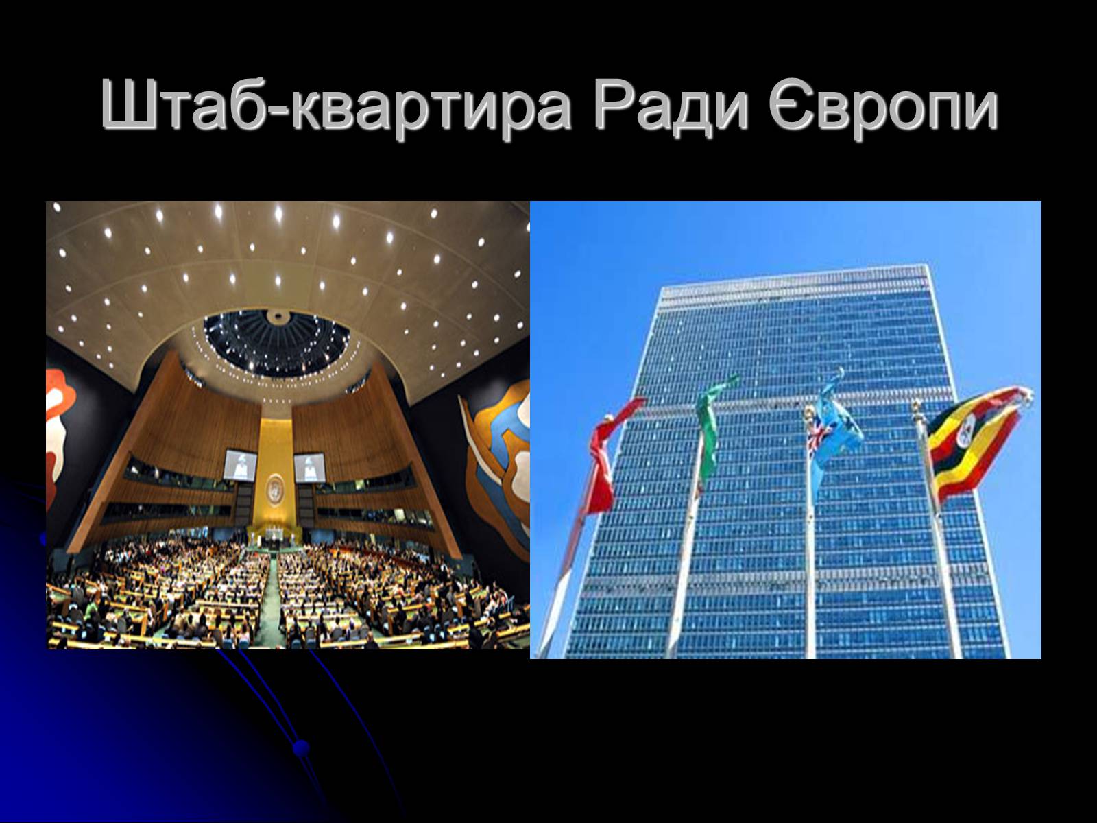 Презентація на тему «Міжнародні організації» (варіант 1) - Слайд #11