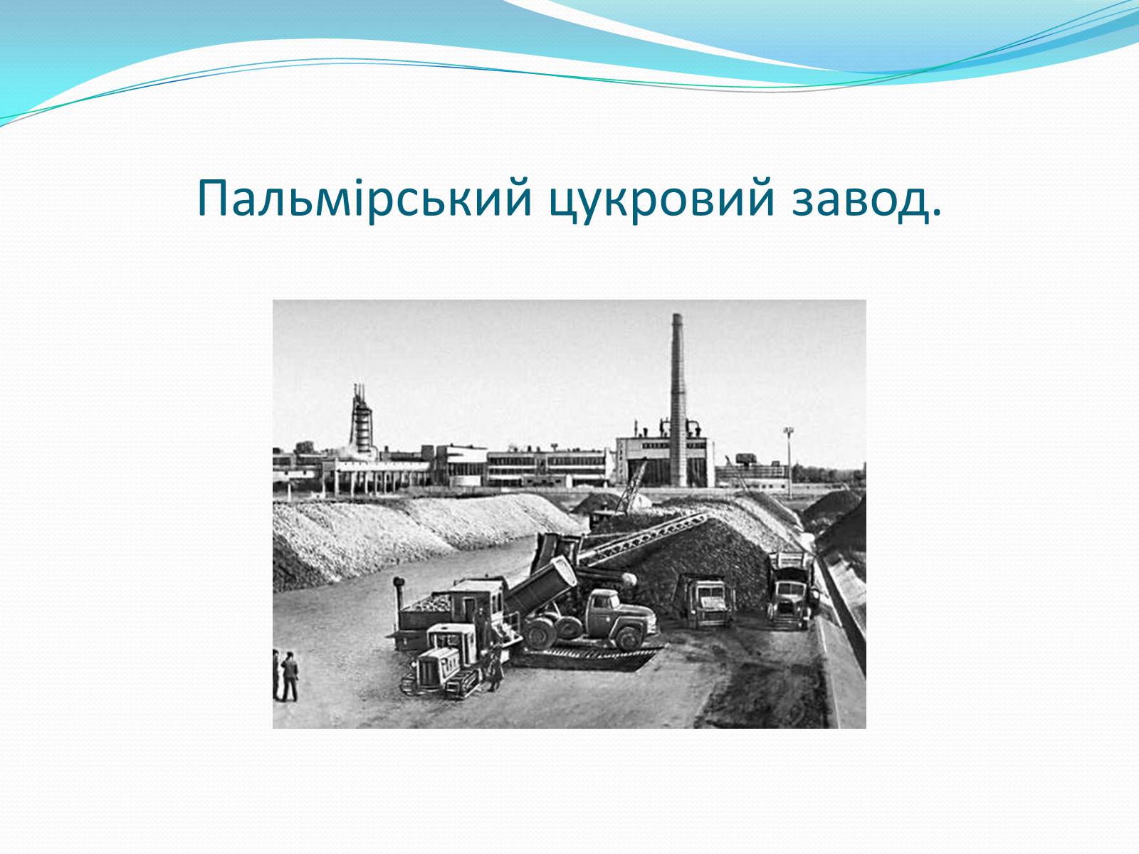 Презентація на тему «Цукрова промисловість в Україні» - Слайд #12