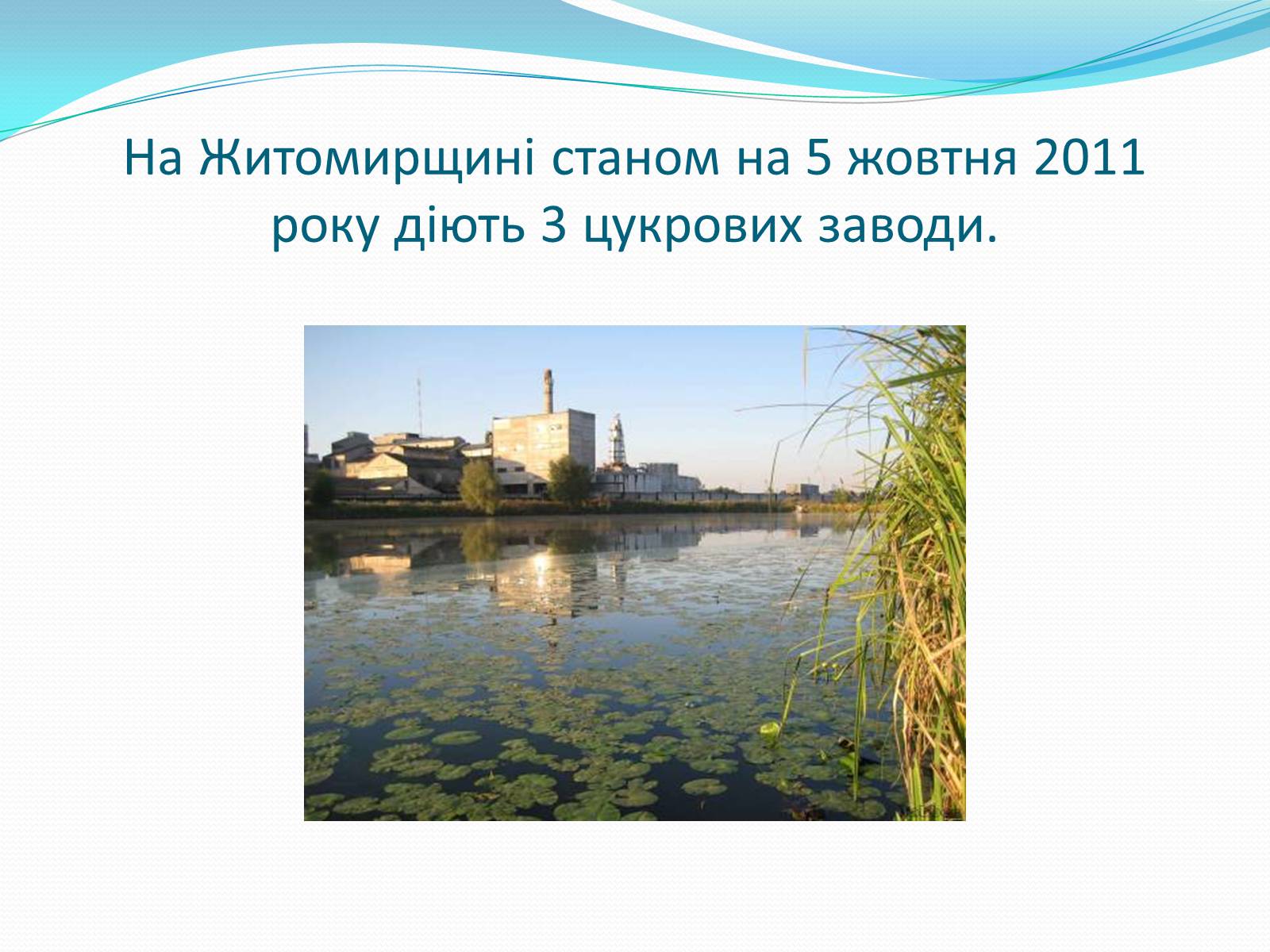 Презентація на тему «Цукрова промисловість в Україні» - Слайд #14