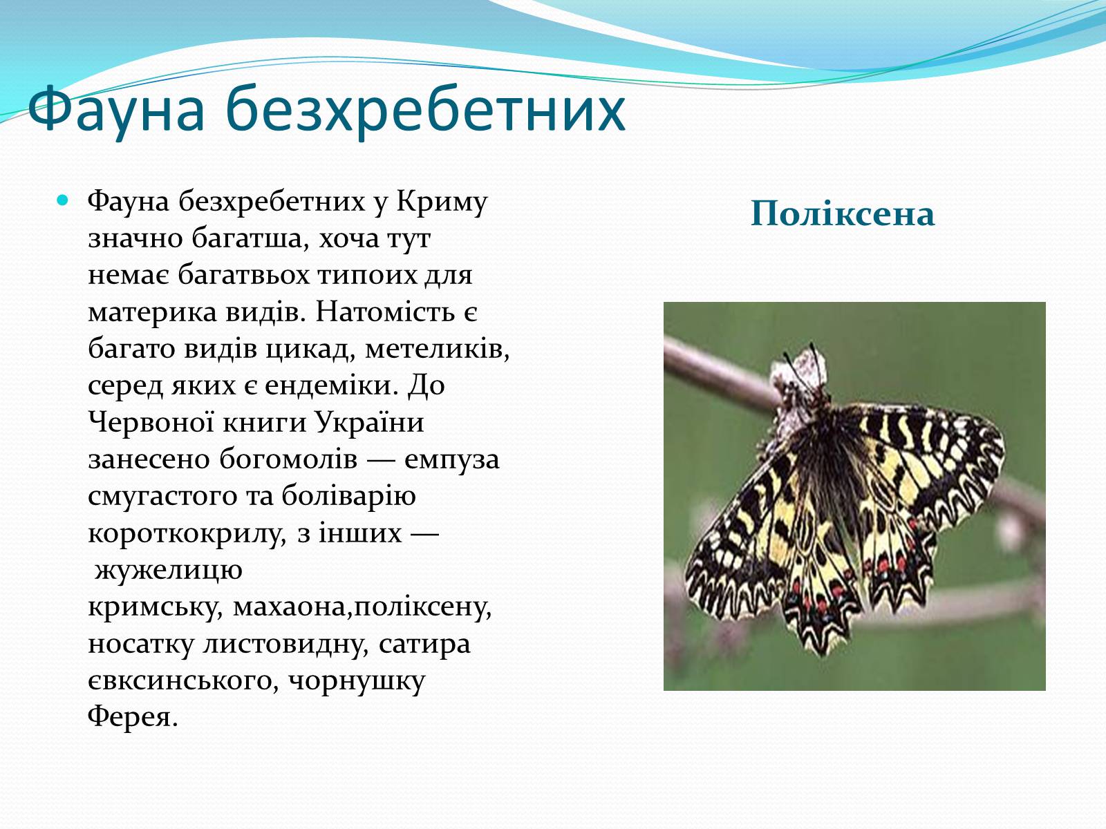 Презентація на тему «Ялтинський гірсько-лісовий природний заповідник» - Слайд #9