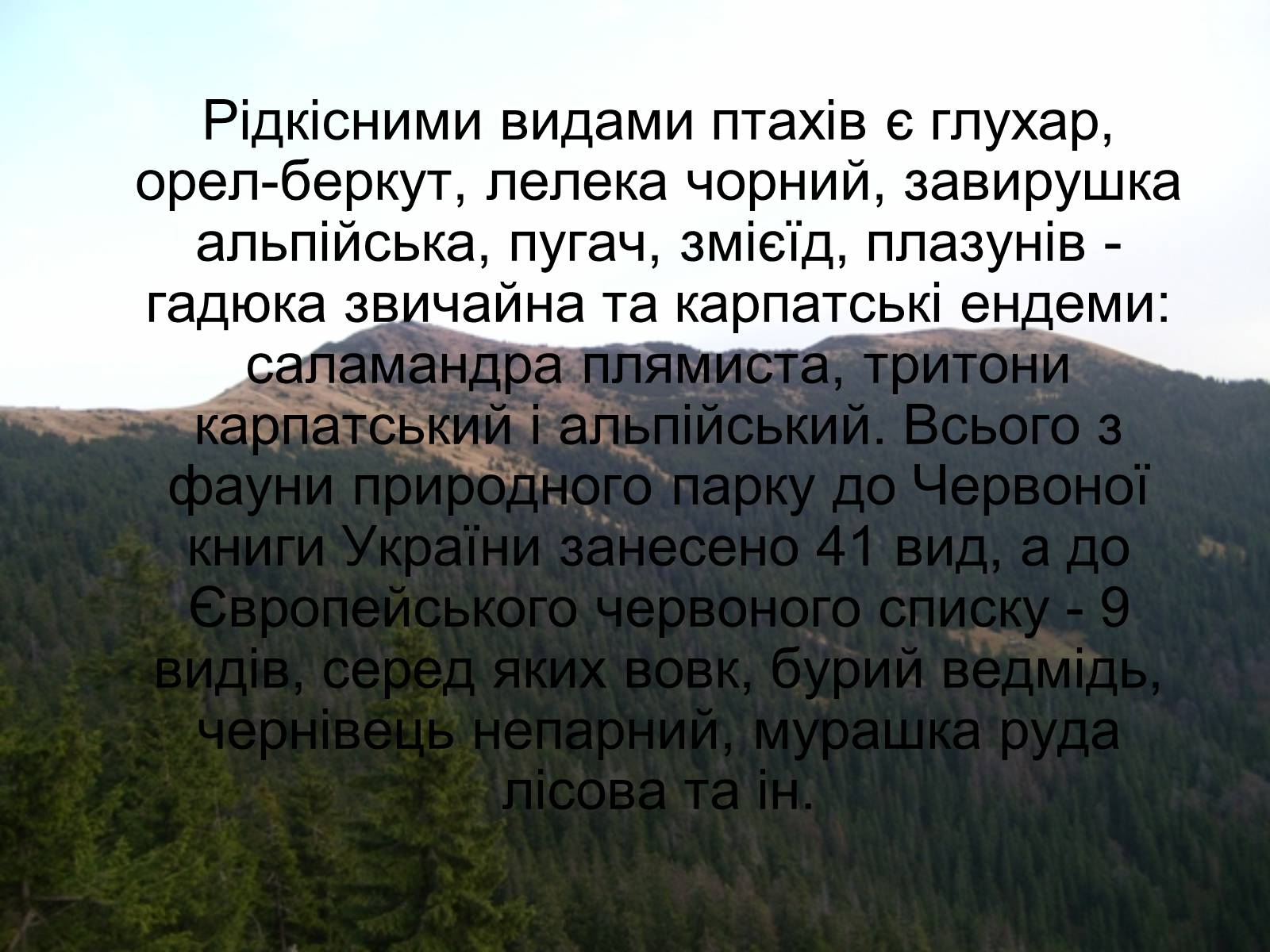 Презентація на тему «Національний природний парк “Синевир”» - Слайд #14