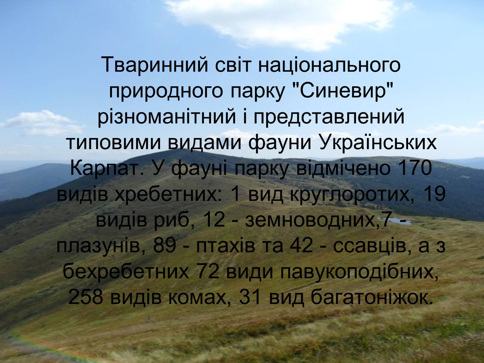 Презентація на тему «Національний природний парк “Синевир”» - Слайд #7