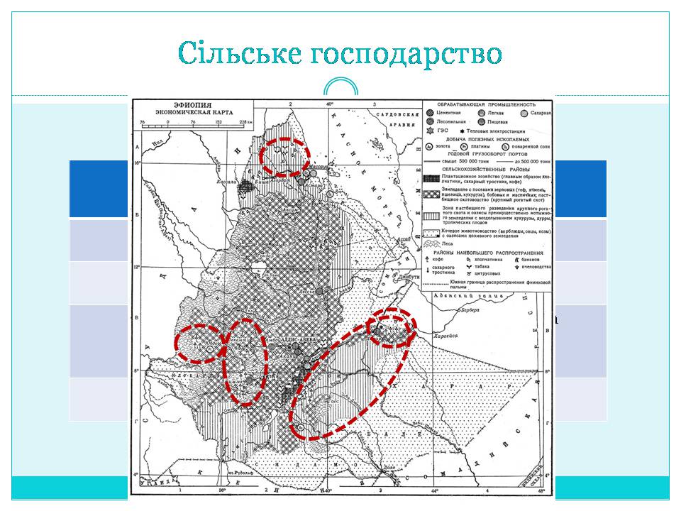 Презентація на тему «Країни Східної Африки: Ефіопія» - Слайд #19